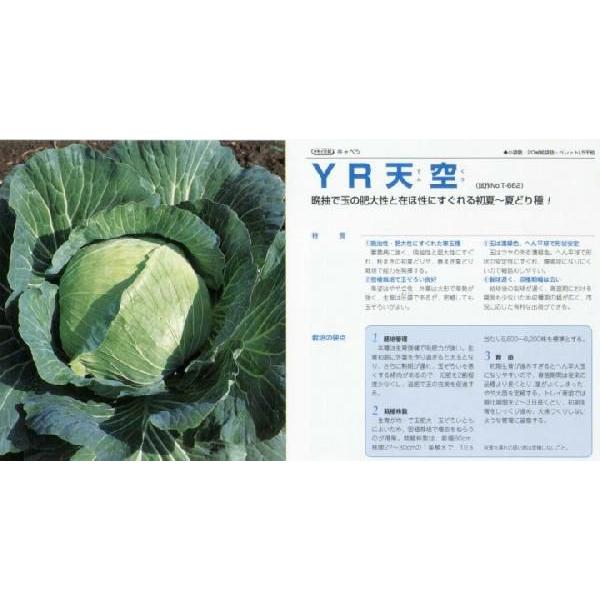 yLxczYRVk^LCzl/܁i1.2mlj