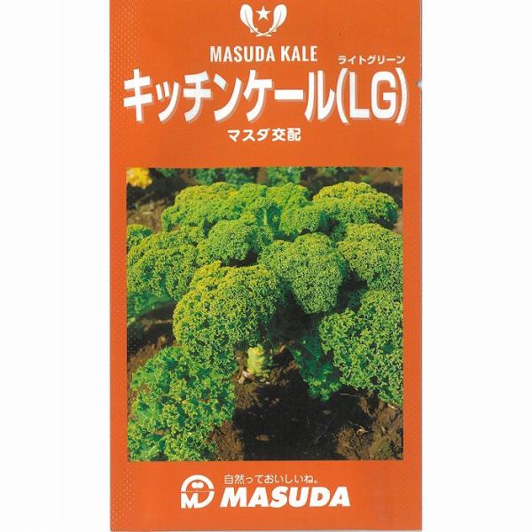 yLxcER[rEP[zCgLb`iFLb`P[LGjk}X_zlso^iti햼Lb`/܁i200j