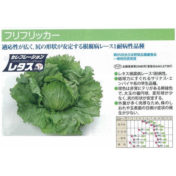 y^XzZu[V^XV[Y@ttbJ[kTJ^琬lso^iti햼SAKLET007COo֎~ii_HPjQƁj/ybg