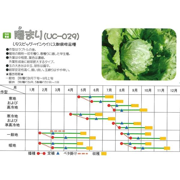 y^Xzʃ^X@z܂iUC-029jkEGL琬l/R[g5痱