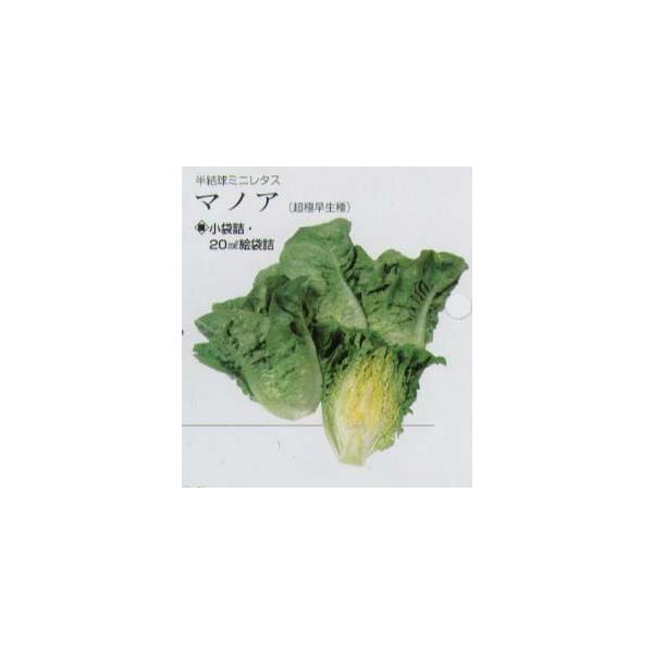 y^Xz~j^X@}mAk^LC琬l/܁i1.8mlj