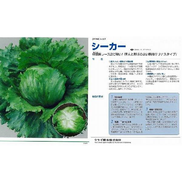 y^XzV[J[k^LC琬lio^i햼F^tI0566j/ybgL5痱