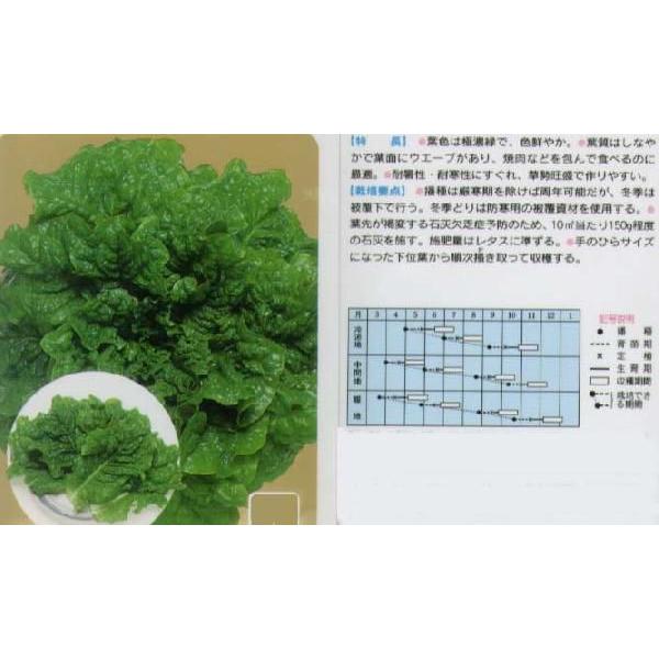 y^Xz؍JL`V@`}T`tkŒl/܁i0.9mlj