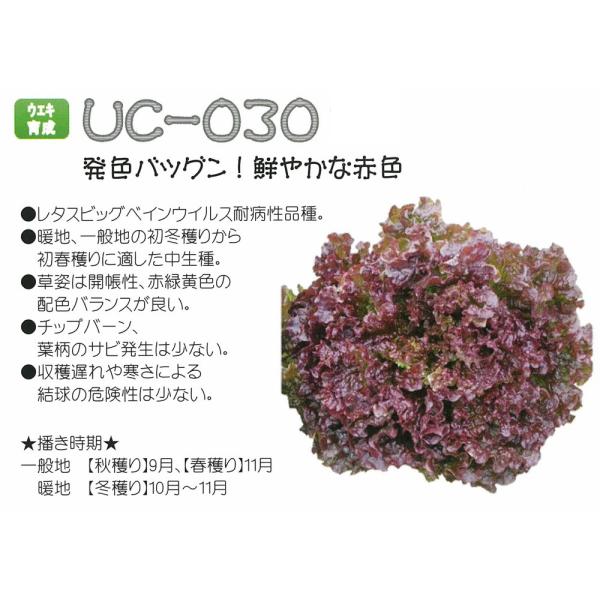 y^Xzbh[t^X@K[lbgiUC-030jkEGL琬l2026N5[J[pԗ\/R[g5痱