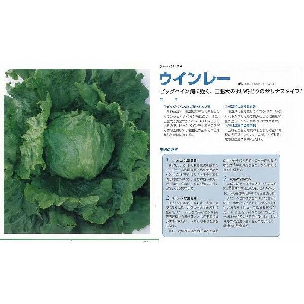 y^XzEB[k^LC琬l/ybgL5痱