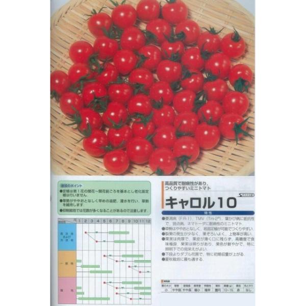 y~jg}gzL10kTJ^zl/PRIMAXq1痱