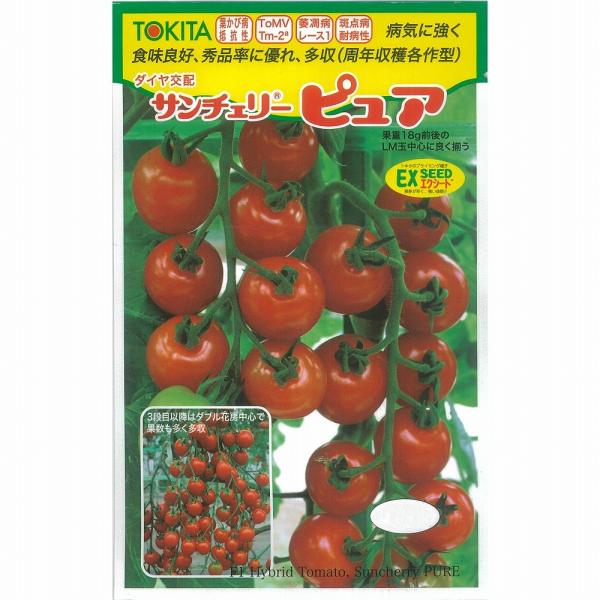 y~jg}gzT`F[sAk_Czl/100