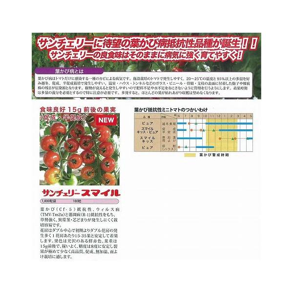 y~jg}gzT`F[X}Ck_Czl/100