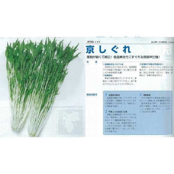 y~Yizk^LCzl/܁i5.0mlj