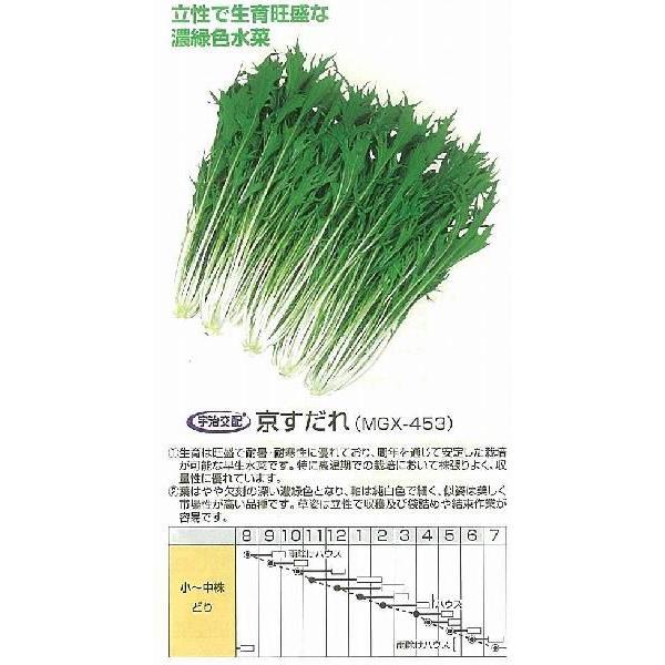 y~Yizꐅ؁kFzl/܁i4.5mlj