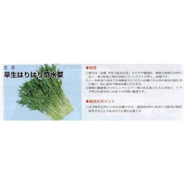 y~Yiz͂͂苞؁k܁iێjl/܁i6mlj