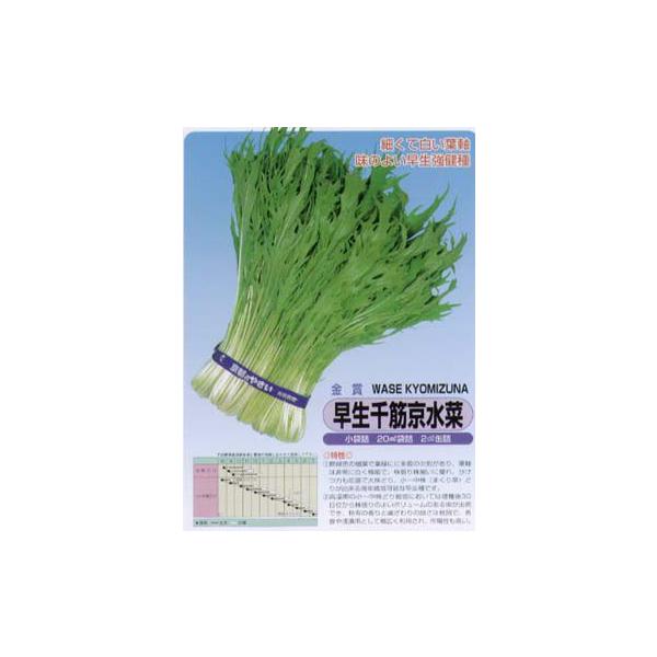 y~Yiz؋؁k܁iŒjl/܁i5mlj