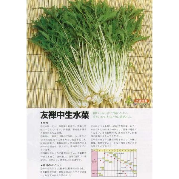 y~Yizɍ׌n@FT؁kьzl/܁i4.0mlj