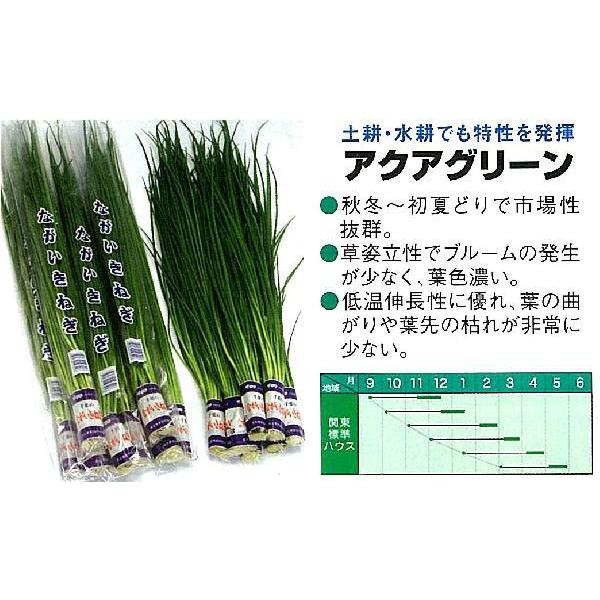 ylMztlM@ANAO[kB݂ǁl/1L