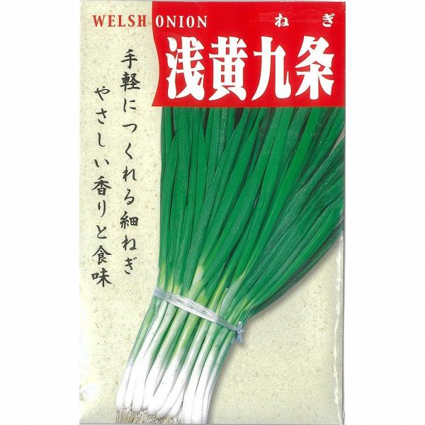 ylMztlM@󉩌nKkŒl/܁i13.0mlj