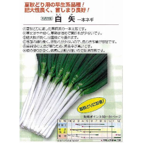 ylMz{lM@kzl/܁i2.0mlj