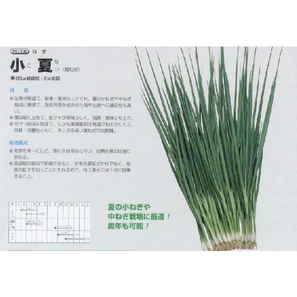 ylMztlM@āk^LCzl/܁i15mlj