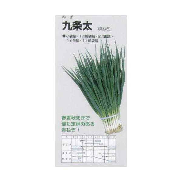 ylMztlM@𑾔KkŒl/܁i13.0mlj