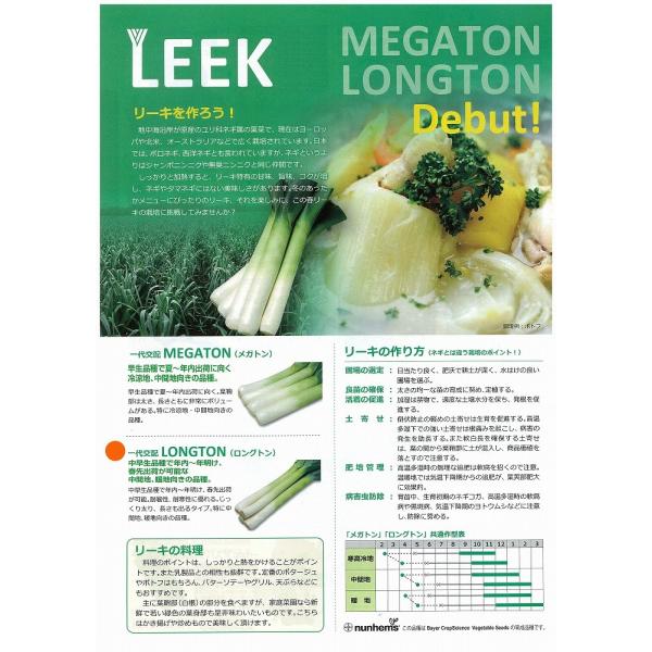 ylMz[L@LONGTONiOgjkz0050iێjl/