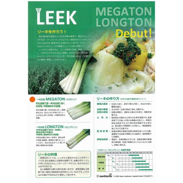 ylMz[L@MEGATONiKgjkz0050iێjl/