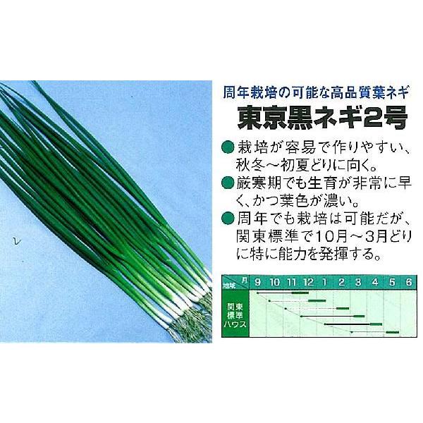 ylMztlM@lM2kB݂ǁl/2dl