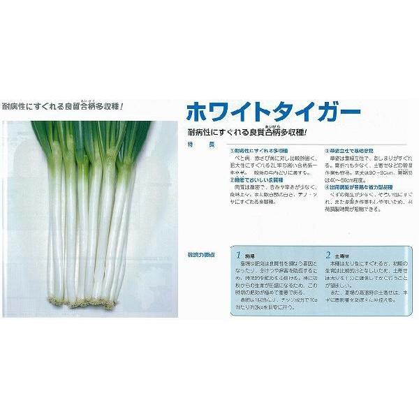 ylMzzCg^CK[k^LCzl/܁i8.0mlj