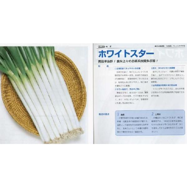 ylMzzCgX^[k^LCzl/܁i8.0mlj