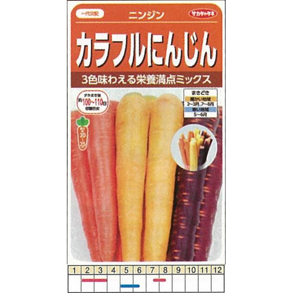 yjWzJtɂ񂶂@jWkz0062l/