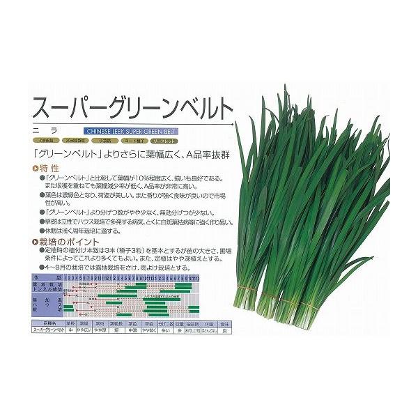 yjzX[p[O[xgkcl/܁i6mlj