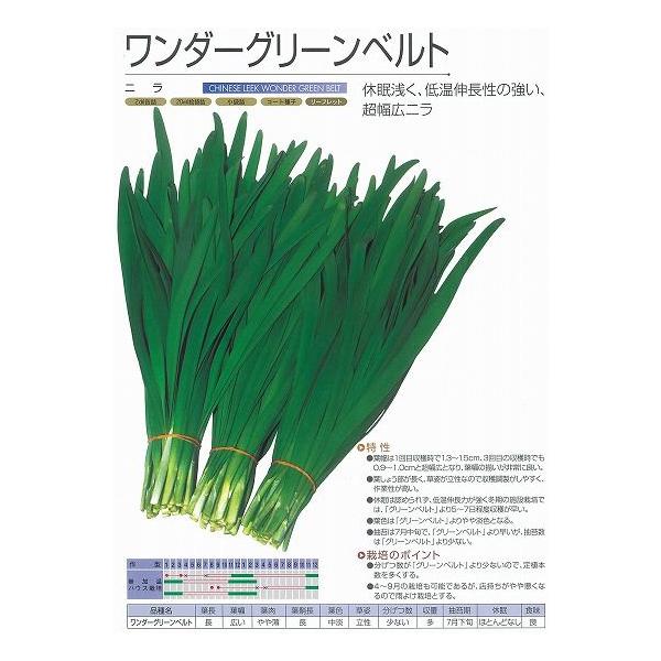 yjz_[O[xgkcl/܁i5mlj