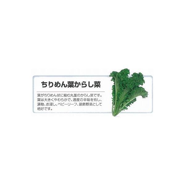 y̑̍ؗށz߂t炵؁k琬l/܁i6.0mlj