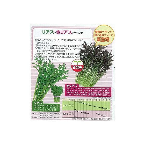 y̑̍ؗށzJVi@ԃAX炵؁kŒ0055lsi햼FAJAXt/ i6.0mlj