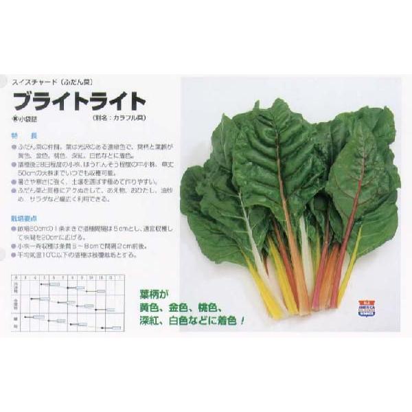 y̑̍ؗށzt_i@XCX`[h uCgCgk^LCl/ i5.0mlj