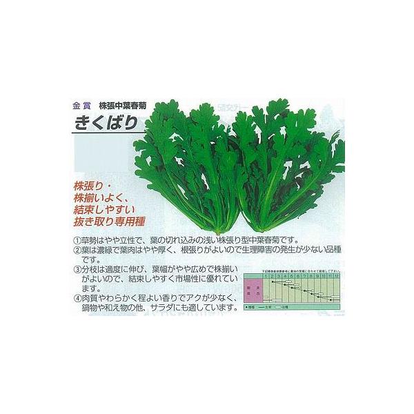 yVMNzte΂k܁iێj0050l/܁i27mlj