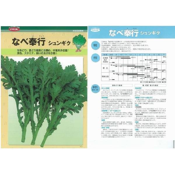 �y�V�����M�N�z�Ȃו�s�k�Œ��0055�i�n�Ӎ̎�j�l/���܁i29ml�j