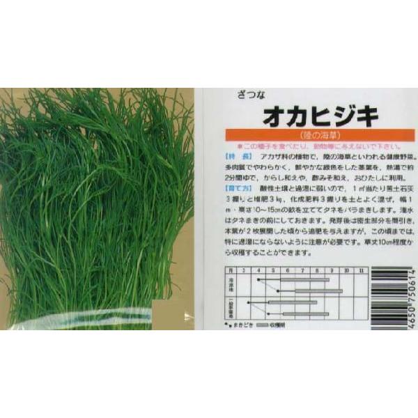 y̑̍ؗށzЂiIJqWL@ЂjkŒl/ i9.0mlj