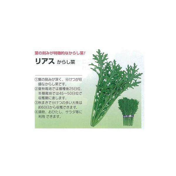 y̑̍ؗށzJVi@AX炵؁kŒ0055l/ i6.0mlj