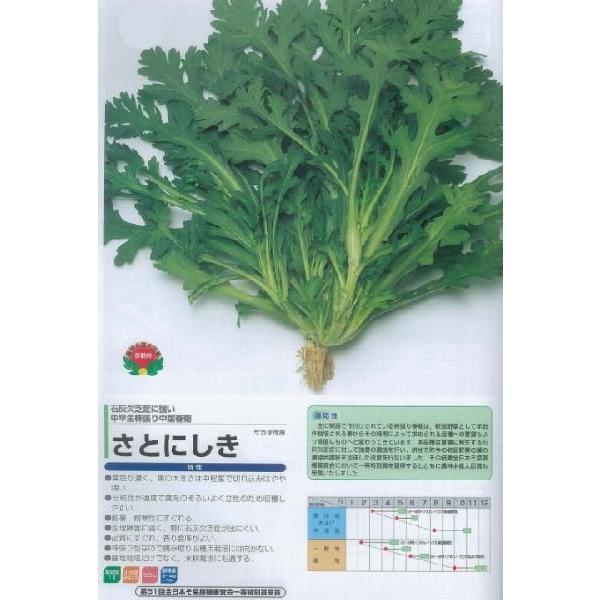 yVMNzƂɂkTJ^ǁl/܁i30mlj