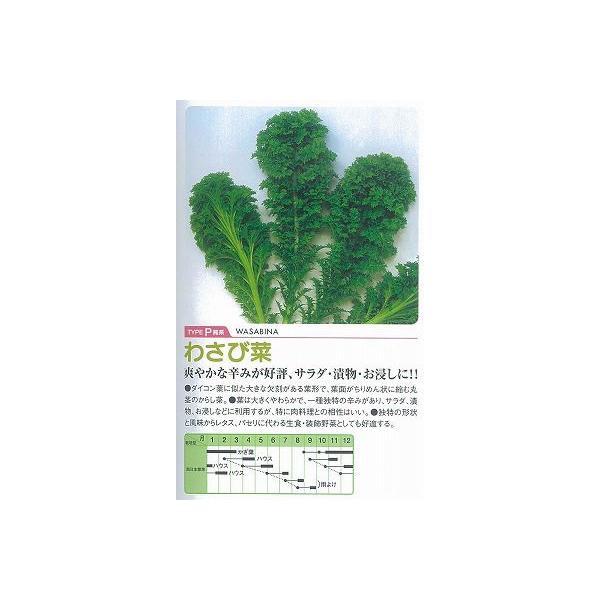 y̑̍ؗށz킳э؁kŒ0047l/ i6mlj