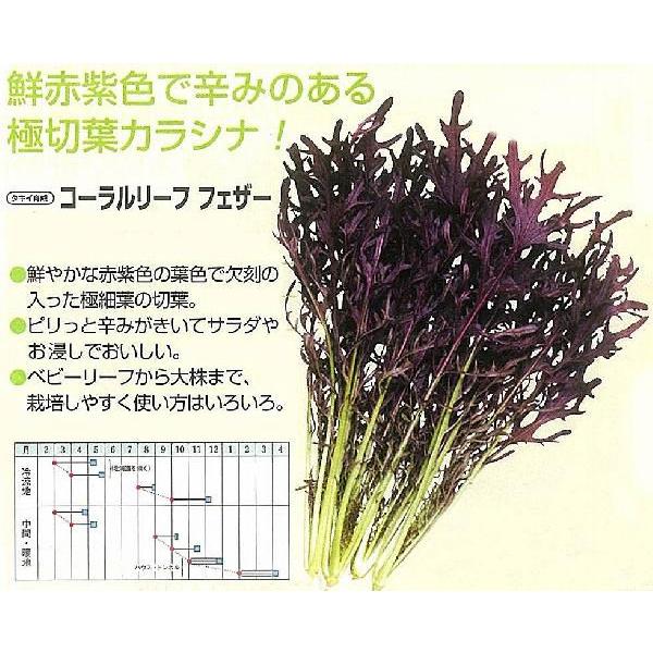 y̑̍ؗށzJVi@R[[ttFU[k^LC琬lso^iti햼TTK457/܁i6.0mlj