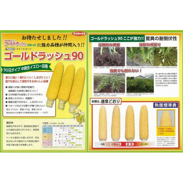 トウモロコシ ゴールドラッシュ90 サカタ交配 0粒 T Tmk Goldrush90 15s 家庭菜園 太田シード ヤフー店 通販 Yahoo ショッピング