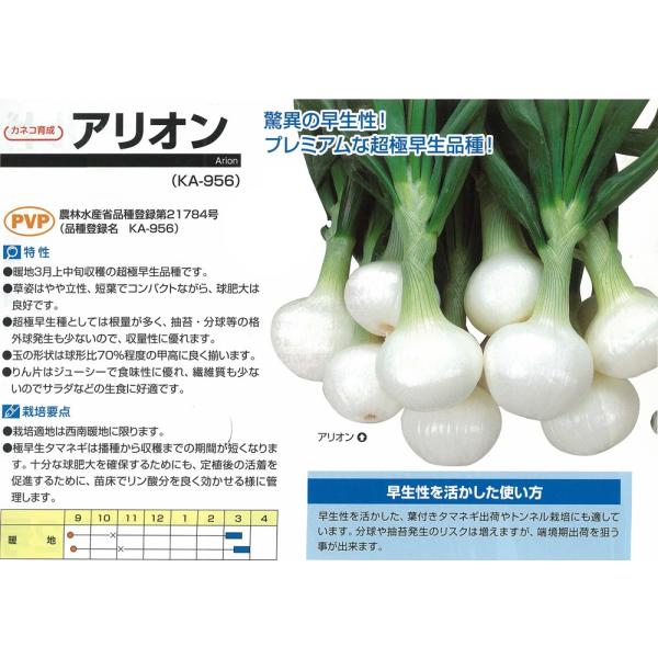 y^}lMzAIkJlR琬luo^ivii햼FKA-956jCOo֎~ii_ȂgojQƁj/20ml