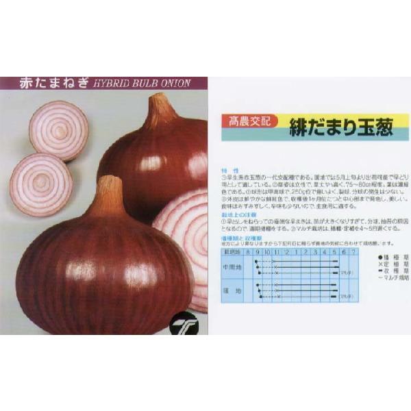 y^}lMzԋʔK@ꂾ܂k_zl/