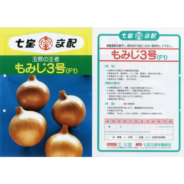 タマネギ】もみじ3号〔七宝交配〕/10g : t-tmn-momiji3 : 家庭菜園 