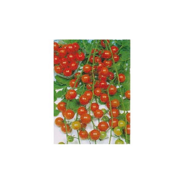 yẺʍ؁z~jt[cg}g/܁i20j