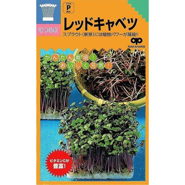 yXvEgzn bhLxck̎l/܁i35mlj