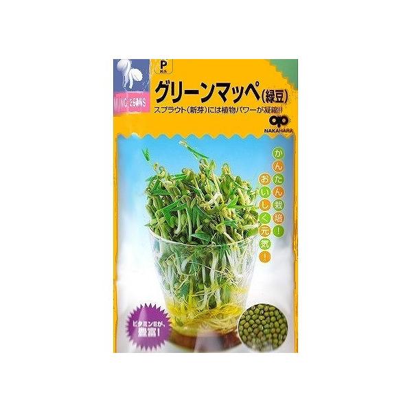 yXvEgz₵n@O[}byiΓjk̎l/܁i40mlj