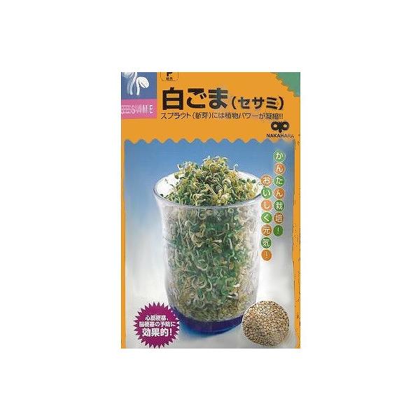 yXvEgz₵n ܁iZT~jk̎l/܁i40mlj