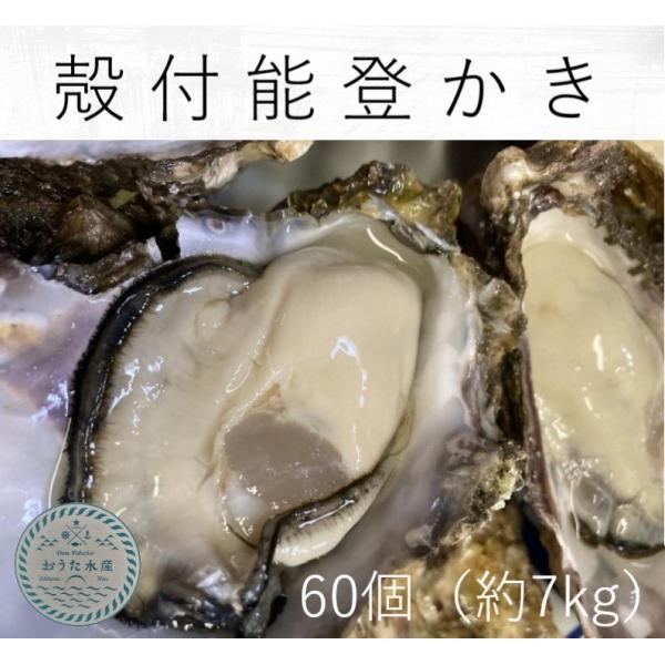 [Release date: December 5, 2025]　【商品規格】 （採取海域） 　　 　石川県七尾市西湾海域 （生食の可否）　　　加熱調理用　　　　　　　　　　　※加熱調理用の牡蠣です。　中心温度８５度以上で１分以上加熱を目安...