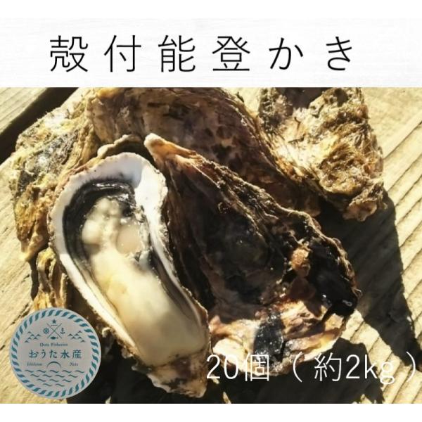 [Release date: December 5, 2025]【商品規格】 （採取海域） 　　 　石川県七尾市西湾海域 （生食の可否）　　　加熱調理用　　　　　　　　　　　※加熱調理用の牡蠣です。　中心温度８５度以上で１分以上加熱を目安に...